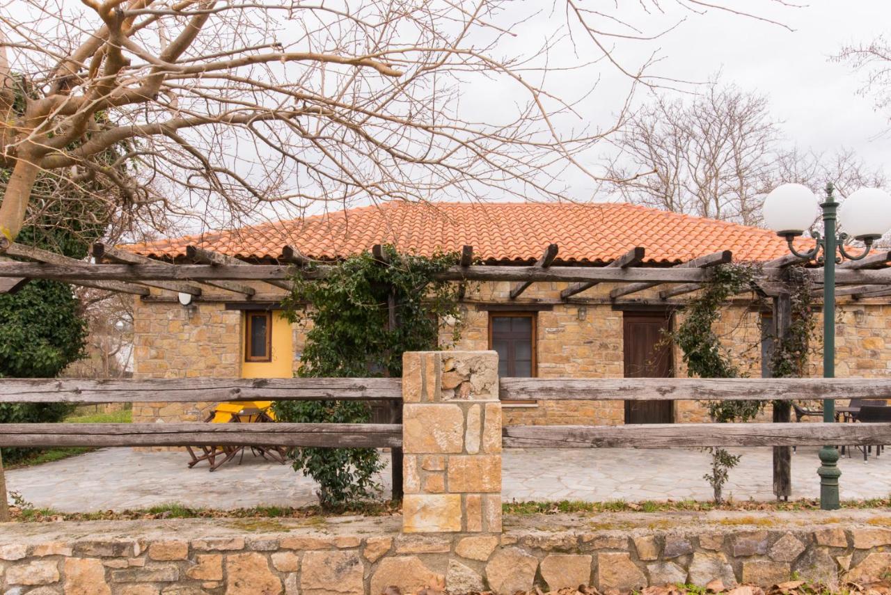 Platanorema Agios Ioannis Prodromos 外观 照片